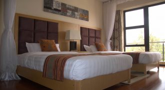 Executive 2 br Furnished Apartments Kilimani
