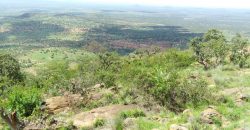 Land for sale in Nanyuki Laikipia  50,000 acres