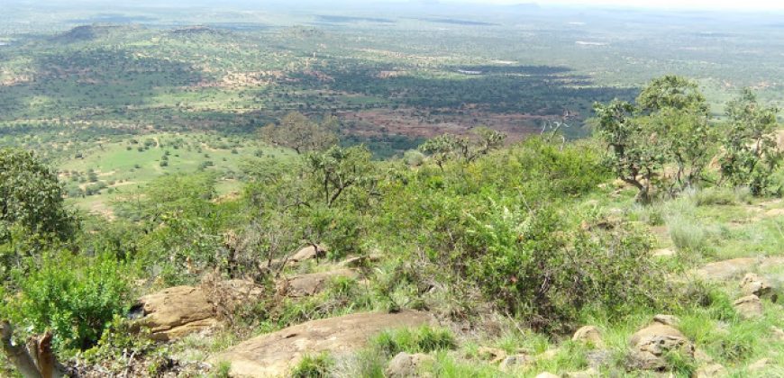 Land for sale in Nanyuki Laikipia  50,000 acres