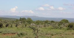 Land for sale in Nanyuki Laikipia  50,000 acres