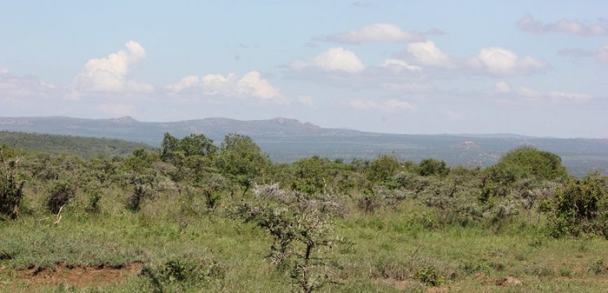 Land for sale in Nanyuki Laikipia  50,000 acres