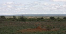 Land for sale in Nanyuki Laikipia  50,000 acres