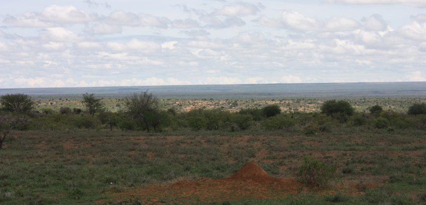 Land for sale in Nanyuki Laikipia  50,000 acres
