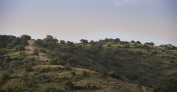 Land for sale in Nanyuki Laikipia  50,000 acres