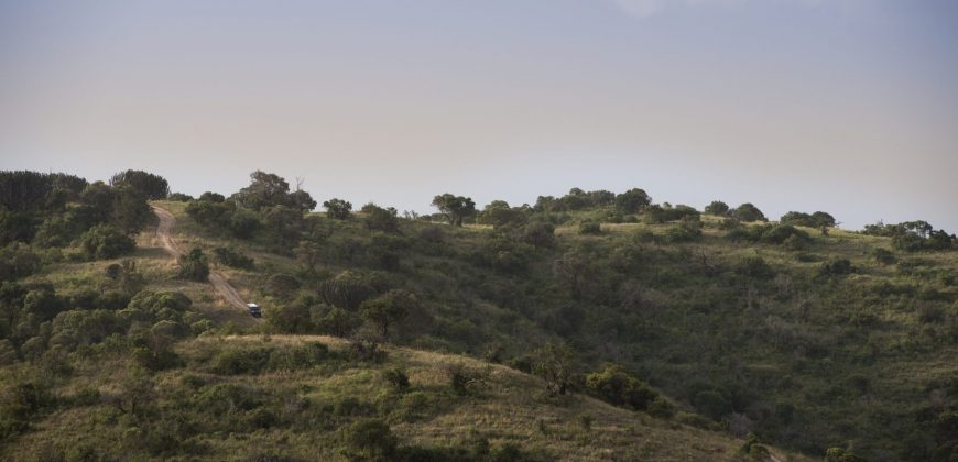 Land for sale in Nanyuki Laikipia  50,000 acres