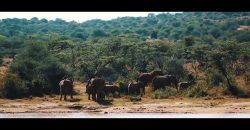 Land for sale in Nanyuki Laikipia  50,000 acres