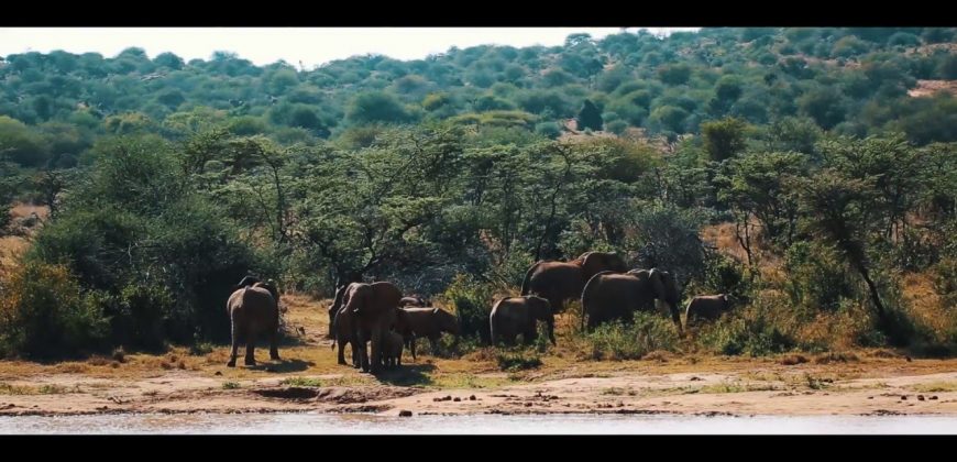 Land for sale in Nanyuki Laikipia  50,000 acres